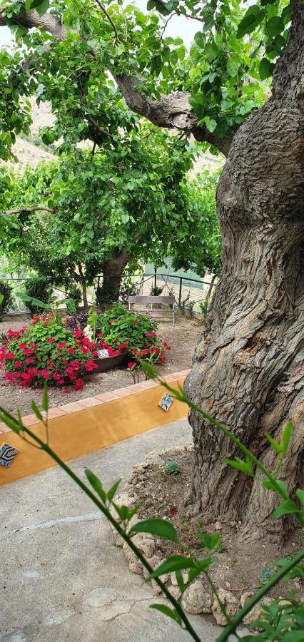 Casa Vacanze Fondaco Di Scillato Scillato  Kültér fotó